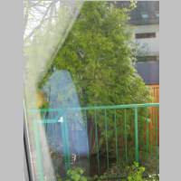 IMG_2433.jpg