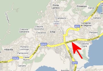 Piantina di Erba