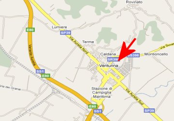 Piantina di Venturina