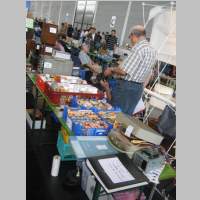 IMG_6231.jpg