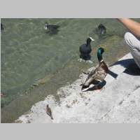 IMG_6793.jpg