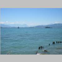IMG_6798.jpg