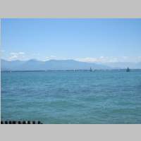 IMG_6799.jpg