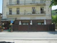 IMG_4797.JPG