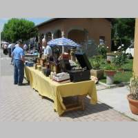 IMG_5331.jpg