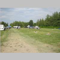 IMG_5517.jpg