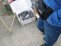 IMG_3615.JPG