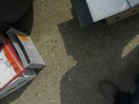 IMG_3636.JPG