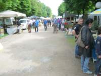 IMG_3674.JPG