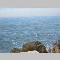 IMG_0972.jpg