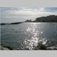 IMG_0980.jpg