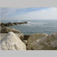 IMG_0986.jpg
