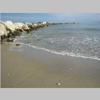 IMG_0998.jpg