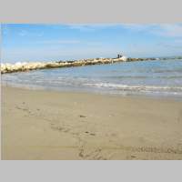 IMG_1082.jpg