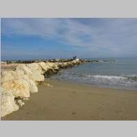 IMG_1086.jpg