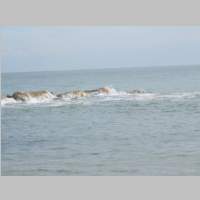 IMG_1095.jpg