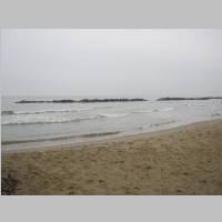 IMG_3392.JPG