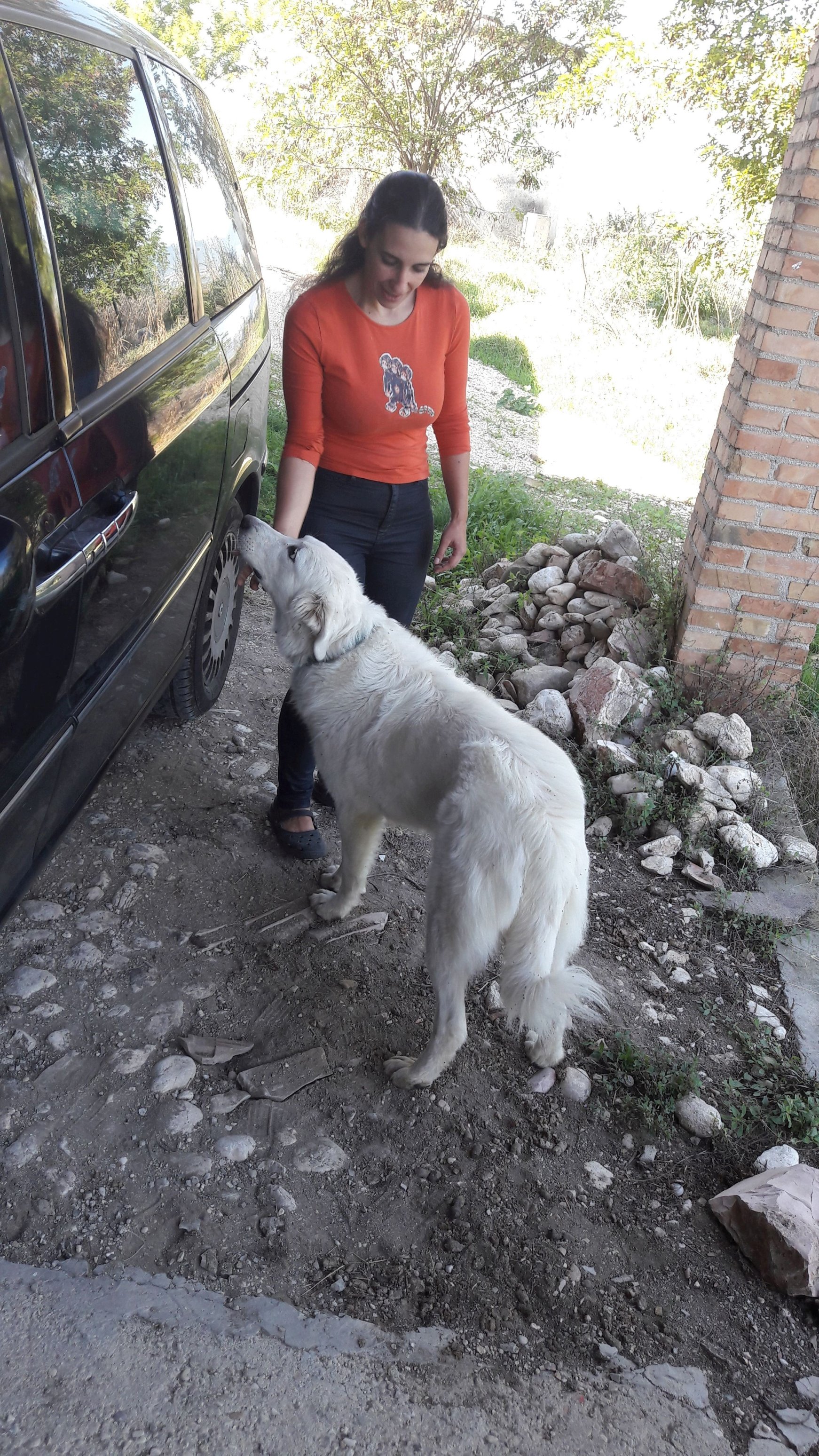 Silvia e il suo cane