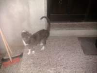 IMAG0728.jpg