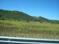 IMG_6702.jpg