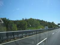IMG_6703.jpg