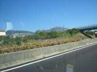 IMG_6738.jpg