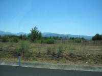 IMG_6739.jpg