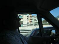 IMG_6760.jpg