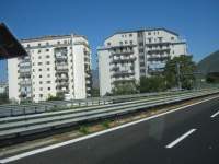 IMG_6782.jpg