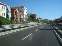 IMG_6785.jpg