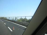 IMG_6793.jpg