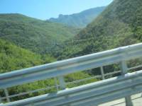 IMG_6857.jpg