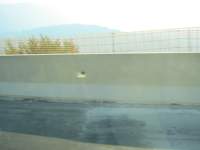 IMG_6931.jpg