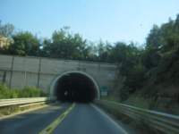IMG_6934.jpg