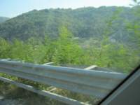 IMG_6935.jpg