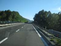 IMG_6950.jpg