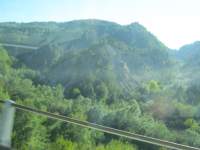 IMG_6955.jpg