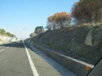 IMG_6980.jpg