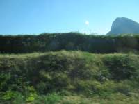 IMG_6981.jpg