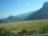 IMG_6982.jpg