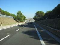 IMG_6985.jpg