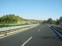 IMG_7026.jpg