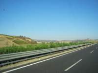 IMG_7027.jpg