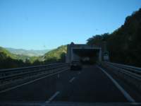 IMG_7052.jpg