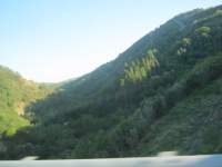 IMG_7054.jpg