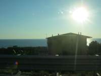 IMG_7081.jpg