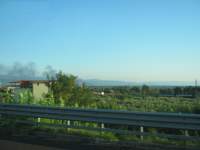 IMG_7090.jpg