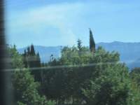 IMG_7095z_IMG_2484.jpg
