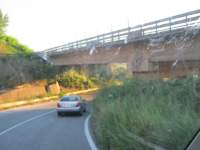 IMG_7131.jpg