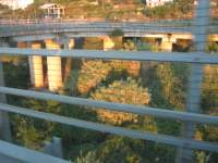 IMG_7156.jpg